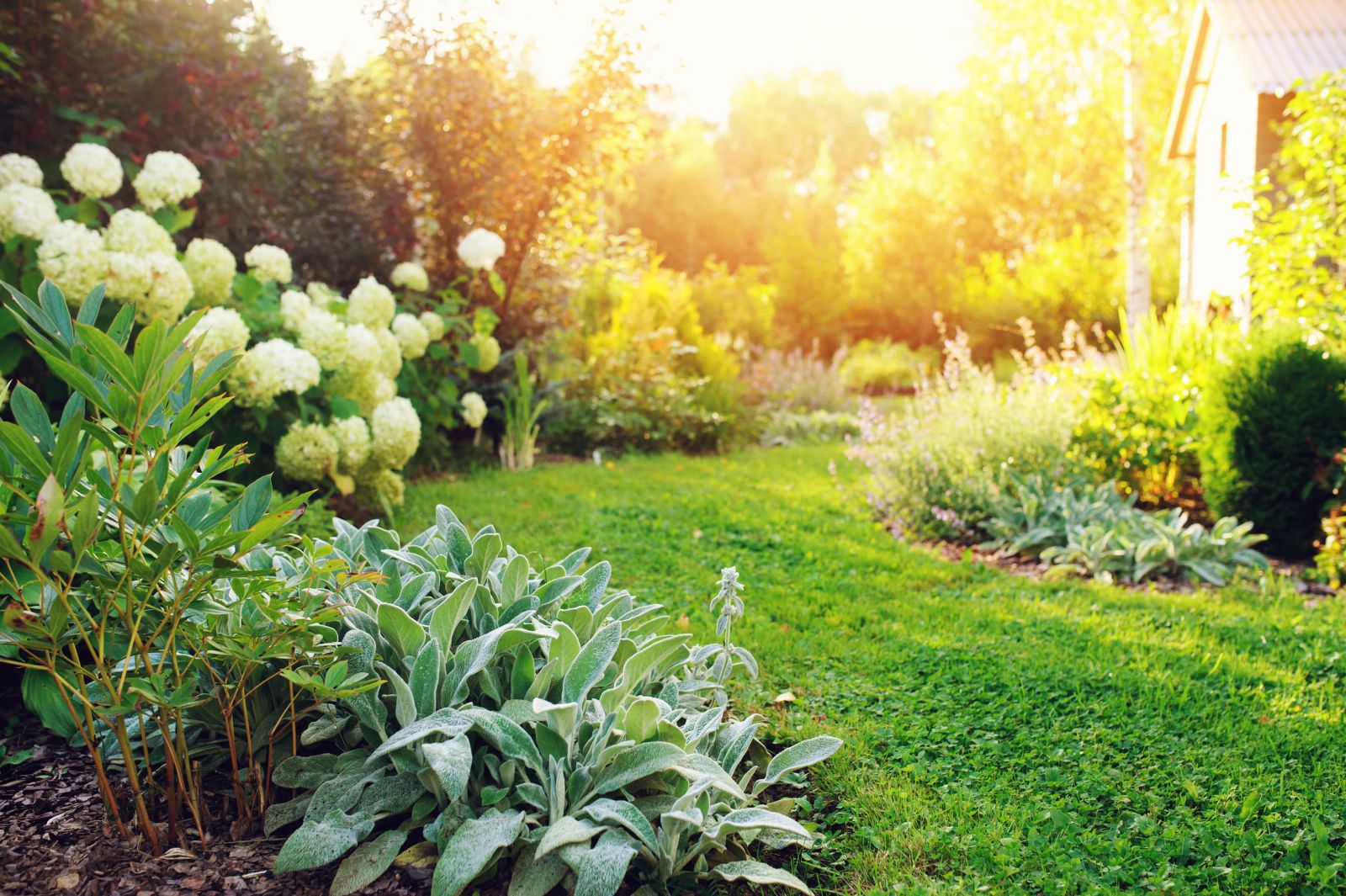 Landscaping Excellence: Maintaining Your Outdoor Oasis