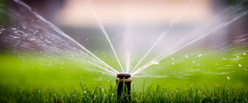Smart Irrigation Solutions for a Healthy Landscape