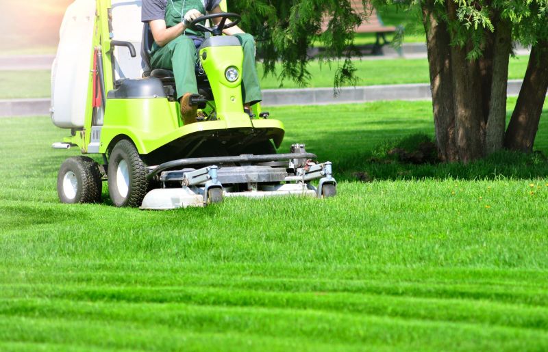 Turf Care Beyond the Basics: Trusted Professionals
